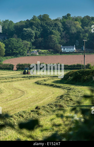 Farmer Rowing Up Hay In Preperation For Baling Keswick Cumbria Stock 