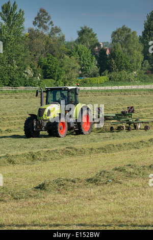 Tractor 'rowing up' already cut grass for drying for silage in field in Gloucestershire in late spring. Stock Photo