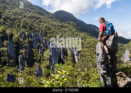 Female hiker at the Pinnacles, karst landscape in rainforest, Gunung Mulu national park, Sarawak, Malaysia Stock Photo