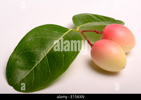 Fruits Carissa Carandas Stock Photo