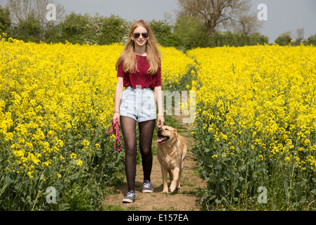 Girl walking her pet dog along a public footpath in the English countryside Northamptonshire England UK Stock Photo