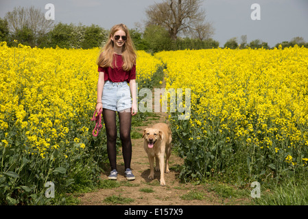 Girl walking her pet dog along a public footpath in the English countryside Northamptonshire England UK Stock Photo