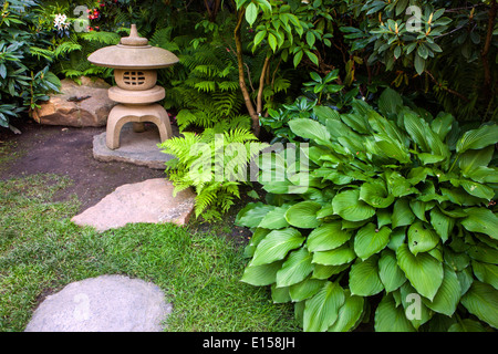 Hosta in a Japanese garden with a stone lantern, Prague Botanical Garden Prague Stock Photo