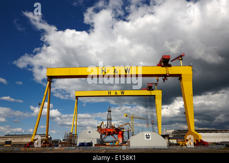 samson and goliath cranes at harland and wolff Belfast Shipyard Northern Ireland UK Stock Photo