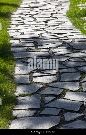 Path and stone in grassy green lawn Stock Photo