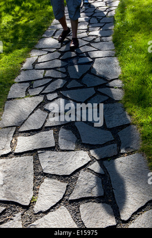 Path and stone in grassy green lawn Stock Photo