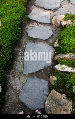 Path and stone in grassy green lawn garden Stock Photo