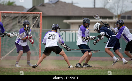 Texas high school boy's lacrosse action featuring LBJ High School (purple) vs. Round Rock McNeil (dark blue). Stock Photo