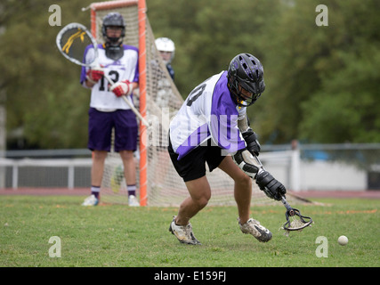 Texas high school boy's lacrosse action featuring LBJ High School (purple) vs. Round Rock McNeil (dark blue). Stock Photo