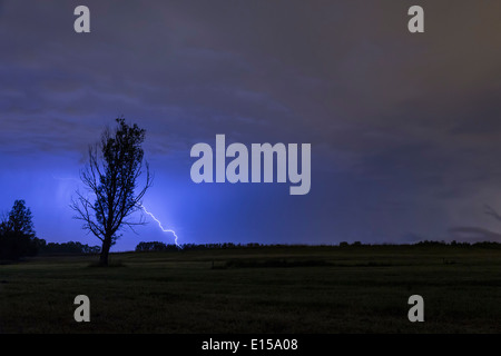 Lightning strikes behind a tree silhouette on a field Stock Photo