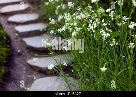 Path and stone in grassy green lawn Stock Photo