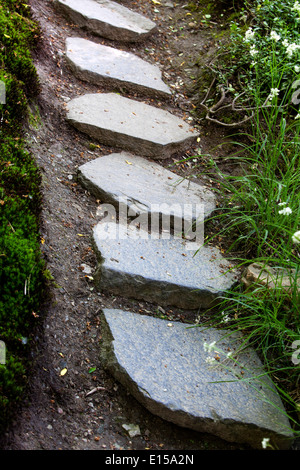 Path and stone in grassy green lawn Stock Photo