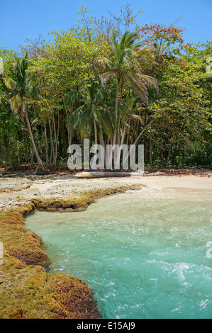 Costa Rica beach with turquoise water in the Caribbean coast, playa Chiquita, Puerto Viejo de Talamanca Stock Photo