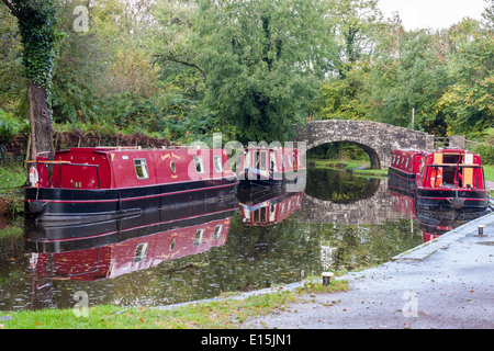 Narrow boats moored at Cwm House Wharf on the Monmouthshire and Brecon Canal, Llangynidr, Powys, Wales, GB, UK. Stock Photo