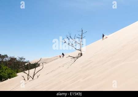 France, Gironde, Bassin d'Arcachon (Arcachon Bay). Visitors descend the Dune of Pyla, the largest sand dune in Europe Stock Photo