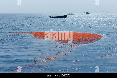 A fishing net full of sardine is hauled in off the Malabar coast near Kannur, Kerala, India. Stock Photo