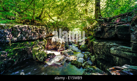WATER FALL IN WOODS, BRECON BEACONS, POWYS WALES UK Stock Photo