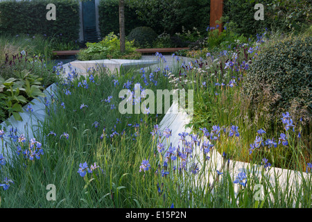 RHS Chelsea flower show 2014 Royal Bank of Canada - Waterscape Garden - Designer Hugo Bugg - Sponsor RBC Stock Photo