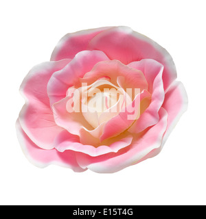 Artificial flower isolated on a white background. A soft light over fabric texture in pink color.Clipping path Stock Photo