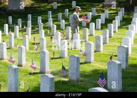 A US Army soldier from the Old Guard places flags in front of grave sites in honor of Memorial Day at Arlington National Cemetery May 22, 2014 in Arlington, Virginia. Stock Photo