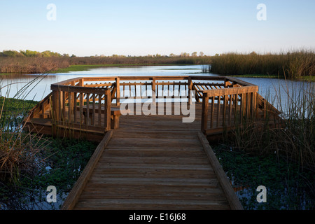 CA02154-00...CALIFORNIA - Boardwalk and observation platform at the Cosumes River Preserve Wildlife Area in the Central Valley. Stock Photo