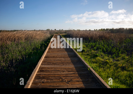 CALIFORNIA - Boardwalk through the wetlands at the Cosumes River Preserve Wildlife Area in the Central Valley. Stock Photo