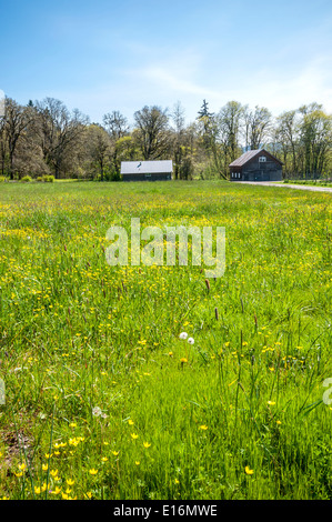 The Tomseth House at Dorris Ranch Park near Springfield, Oregon Stock