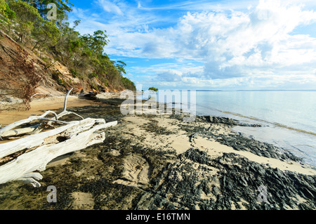 Eastern Coast, Fraser Island, Queensland, QLD, Australia Stock Photo