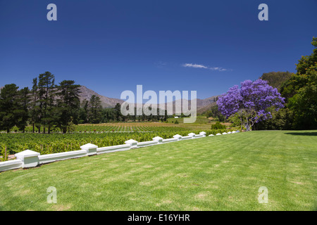 View over the gardens, vineyards and Wemmershoek Mountains at Rickety Bridge Winery, Franschhoek, South Africa Stock Photo