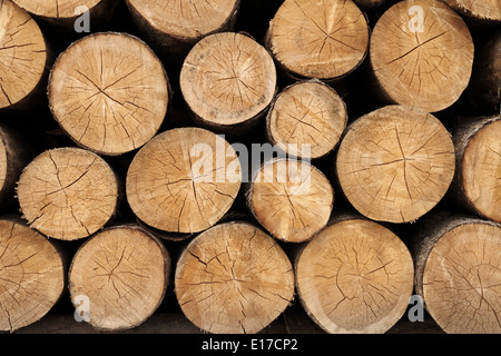 Pile of wood logs ready for winter, landscape exterior, close up Stock Photo