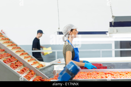 Worker carrying crate of tomatoes in food processing plant Stock Photo