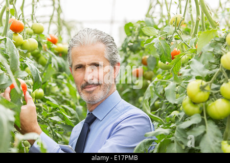 Portrait of serious scientist in greenhouse with tomatoes Stock Photo