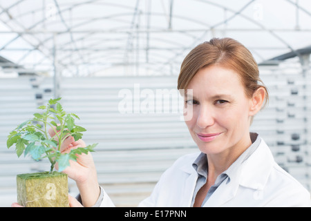 Portrait of confident scientist with plant in greenhouse Stock Photo