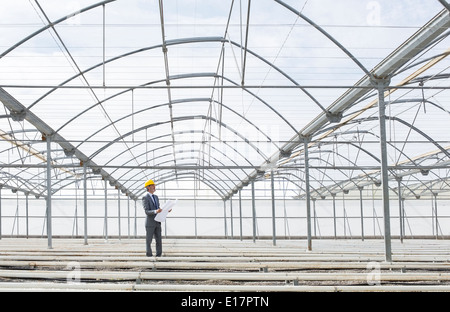 Architect with blueprint in empty greenhouse Stock Photo