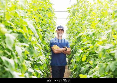 Portrait of confident worker among tomato plants in greenhouse Stock Photo