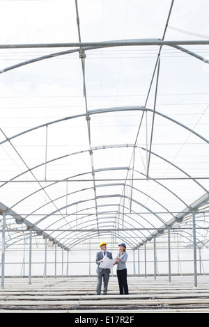 Architect and businesswoman reviewing blueprint in empty greenhouse Stock Photo