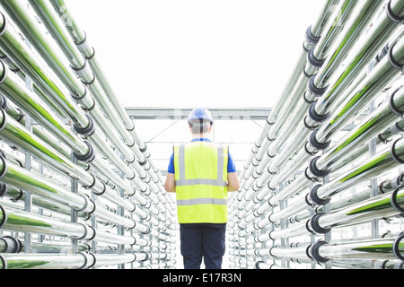 Engineer among irrigation pipes in greenhouse Stock Photo