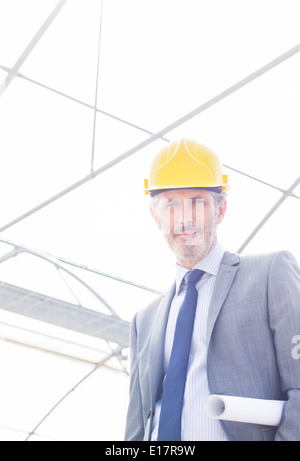 Portrait of confident architect wearing hard-hat in greenhouse Stock Photo
