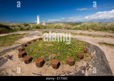 The lighthouse on Walney Island, Cumbria, UK, with wild flowers growing in a second world war gun emplacement in the foreground. Stock Photo