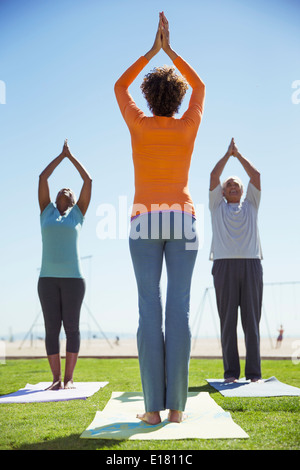 Yoga class in sunny park Stock Photo