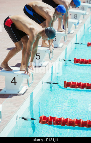 starting blocks alamy pool swimming poised swimmers