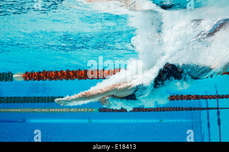 Swimmer diving into pool Stock Photo