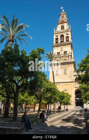 The Patio de los Naranjas, Orange court, and Alminar Tower, once the minaret of the Great Mosque (La Mezquita), Cordoba, Spain Stock Photo