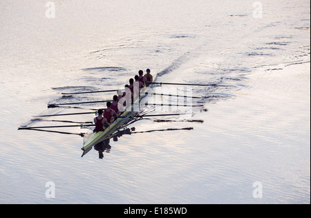 Rowing team rowing scull on lake Stock Photo