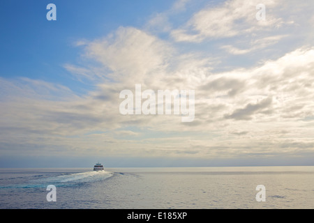 The Ferry Departs, Catalina Express SeaCat Departs For Long Beach. Avalon, Catalina Island, California. Stock Photo