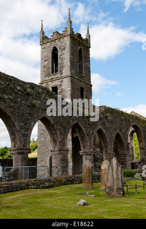 Old cistercian Abbey in Baltinglass Stock Photo