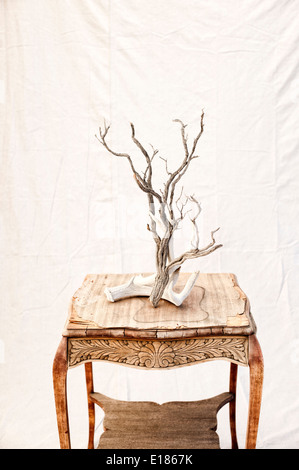 Fine Art Photography, Study of plant, sepia, monochrome, paper ink ...