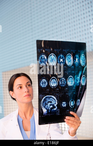 Doctor examining brain scan Stock Photo