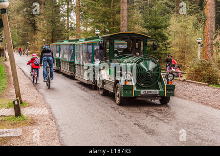 The land train at Center Parcs , Longleat, Wiltshire, England, United Kingdom, Stock Photo