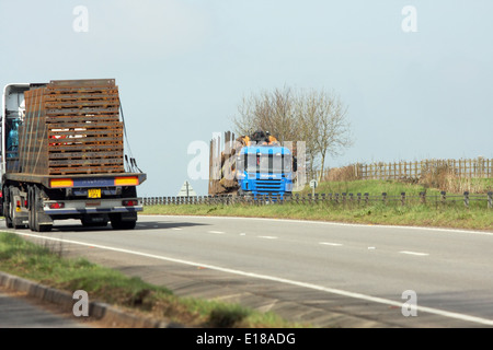 Two trucks traveling along the A417 dual carriageway in The Cotswolds, England Stock Photo